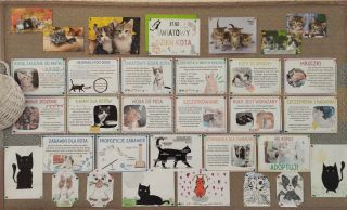 423422746_7620438324635880_6819524107066147768_n